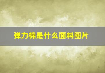 弹力棉是什么面料图片