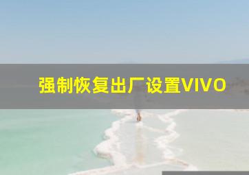 强制恢复出厂设置VIVO