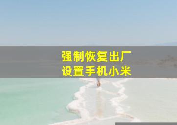 强制恢复出厂设置手机小米