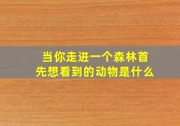 当你走进一个森林首先想看到的动物是什么