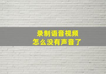 录制语音视频怎么没有声音了