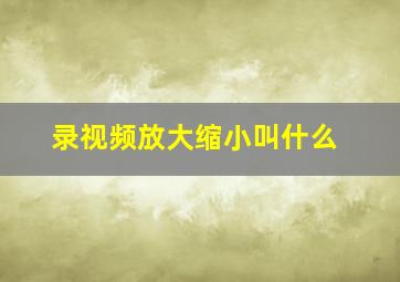 录视频放大缩小叫什么