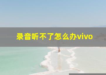 录音听不了怎么办vivo