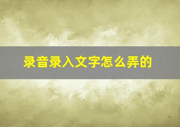 录音录入文字怎么弄的