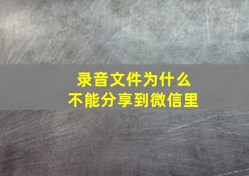 录音文件为什么不能分享到微信里