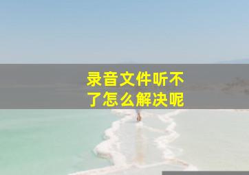 录音文件听不了怎么解决呢