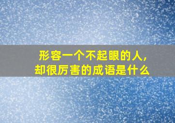 形容一个不起眼的人,却很厉害的成语是什么