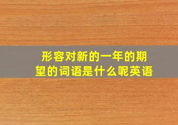 形容对新的一年的期望的词语是什么呢英语