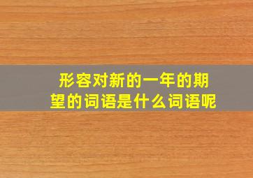 形容对新的一年的期望的词语是什么词语呢