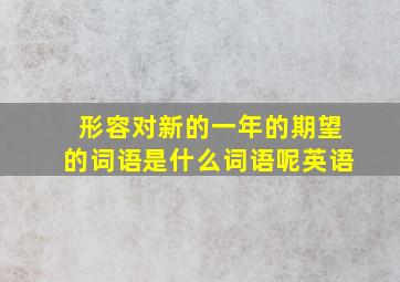 形容对新的一年的期望的词语是什么词语呢英语