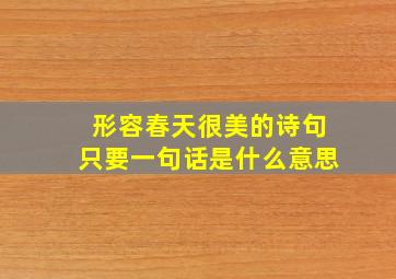 形容春天很美的诗句只要一句话是什么意思