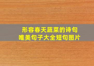 形容春天蔬菜的诗句唯美句子大全短句图片