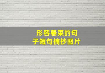 形容春菜的句子短句摘抄图片