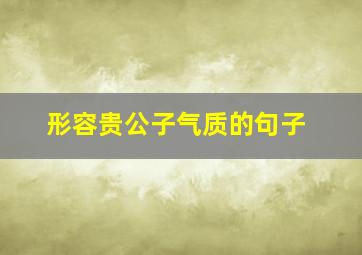 形容贵公子气质的句子