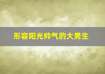 形容阳光帅气的大男生