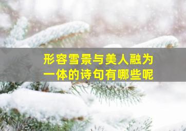 形容雪景与美人融为一体的诗句有哪些呢