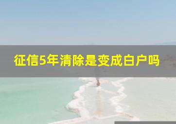 征信5年清除是变成白户吗