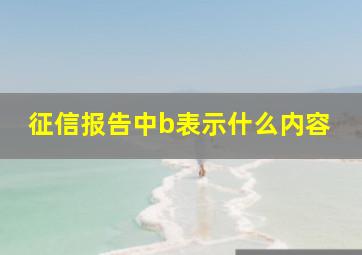 征信报告中b表示什么内容