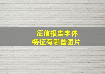 征信报告字体特征有哪些图片