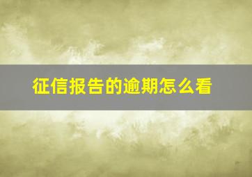 征信报告的逾期怎么看