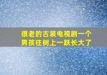 很老的古装电视剧一个男孩往树上一跃长大了