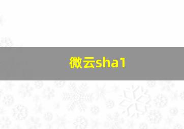 微云sha1