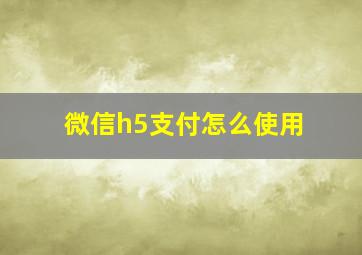 微信h5支付怎么使用