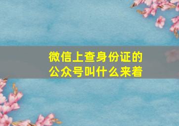 微信上查身份证的公众号叫什么来着