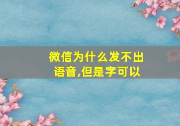 微信为什么发不出语音,但是字可以