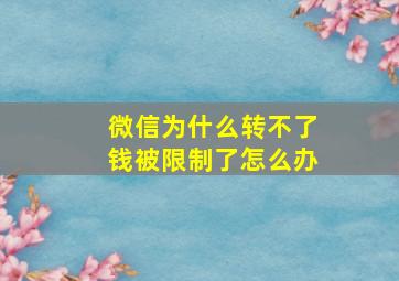 微信为什么转不了钱被限制了怎么办