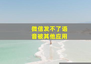 微信发不了语音被其他应用