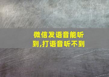 微信发语音能听到,打语音听不到