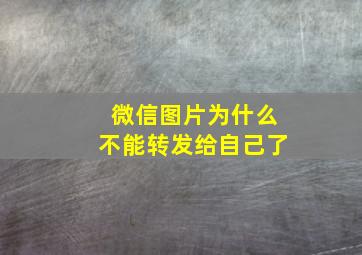 微信图片为什么不能转发给自己了