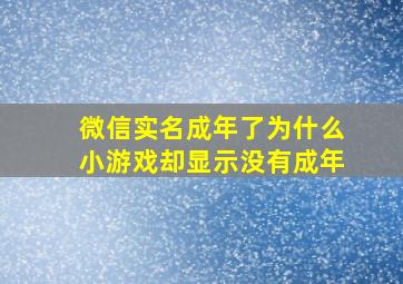 微信实名成年了为什么小游戏却显示没有成年