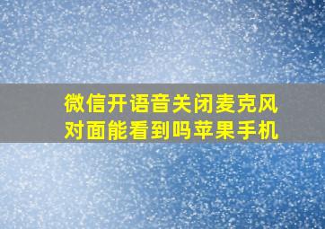 微信开语音关闭麦克风对面能看到吗苹果手机