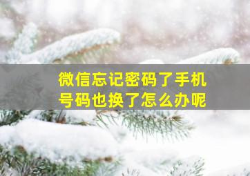 微信忘记密码了手机号码也换了怎么办呢