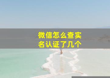 微信怎么查实名认证了几个