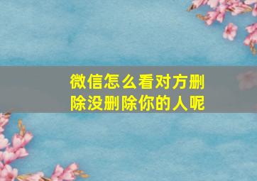 微信怎么看对方删除没删除你的人呢