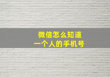 微信怎么知道一个人的手机号