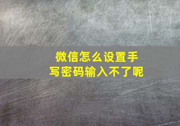 微信怎么设置手写密码输入不了呢