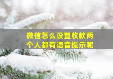 微信怎么设置收款两个人都有语音提示呢