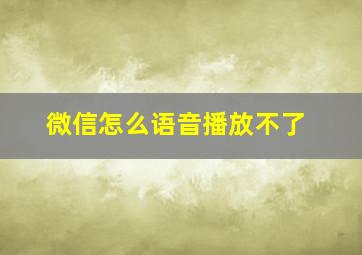 微信怎么语音播放不了