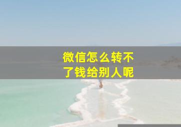 微信怎么转不了钱给别人呢