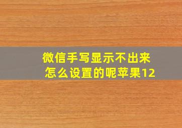 微信手写显示不出来怎么设置的呢苹果12