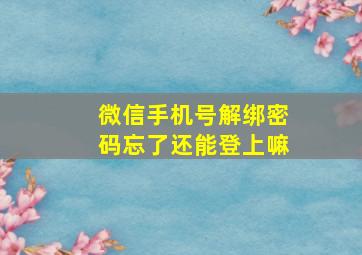 微信手机号解绑密码忘了还能登上嘛