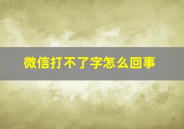 微信打不了字怎么回事