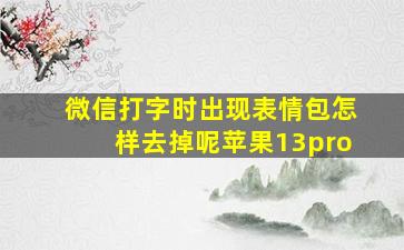 微信打字时出现表情包怎样去掉呢苹果13pro