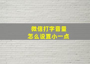 微信打字音量怎么设置小一点