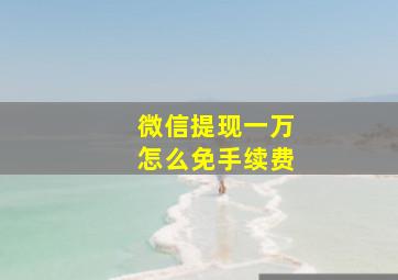 微信提现一万怎么免手续费