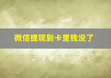 微信提现到卡里钱没了